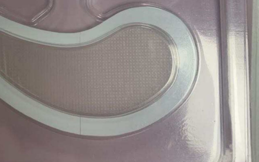 Yanse dissolving microneedle array — real close-up
